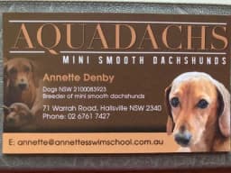 Advertisement