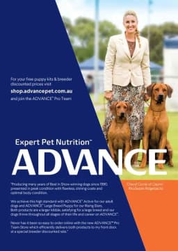 Advertisement